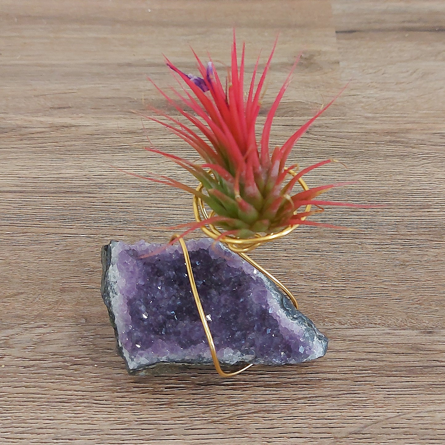 Air plant cluster crystal