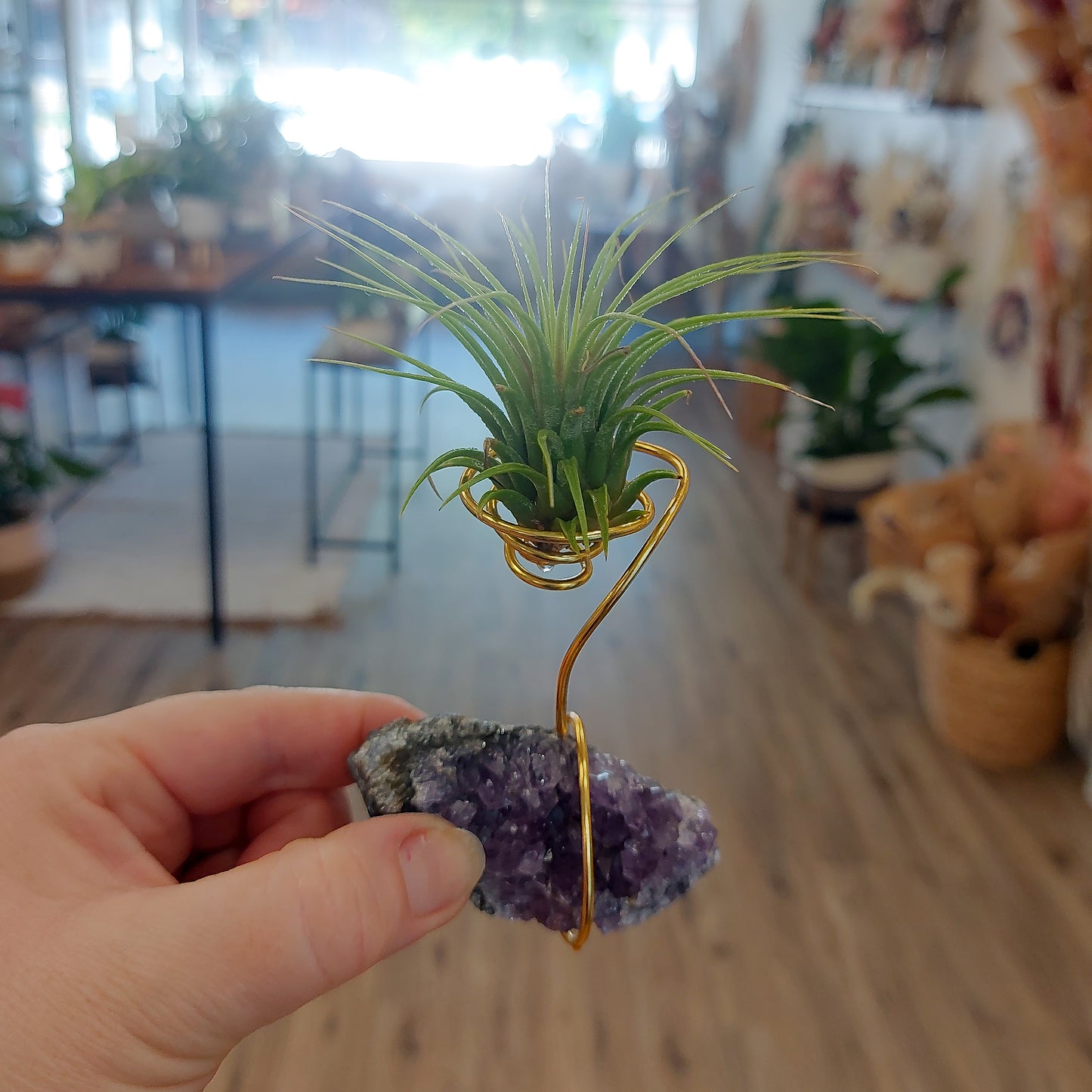 Air plant holder amethyst