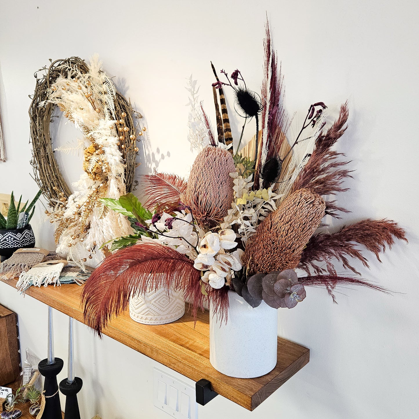 Dried flowers banksia protea