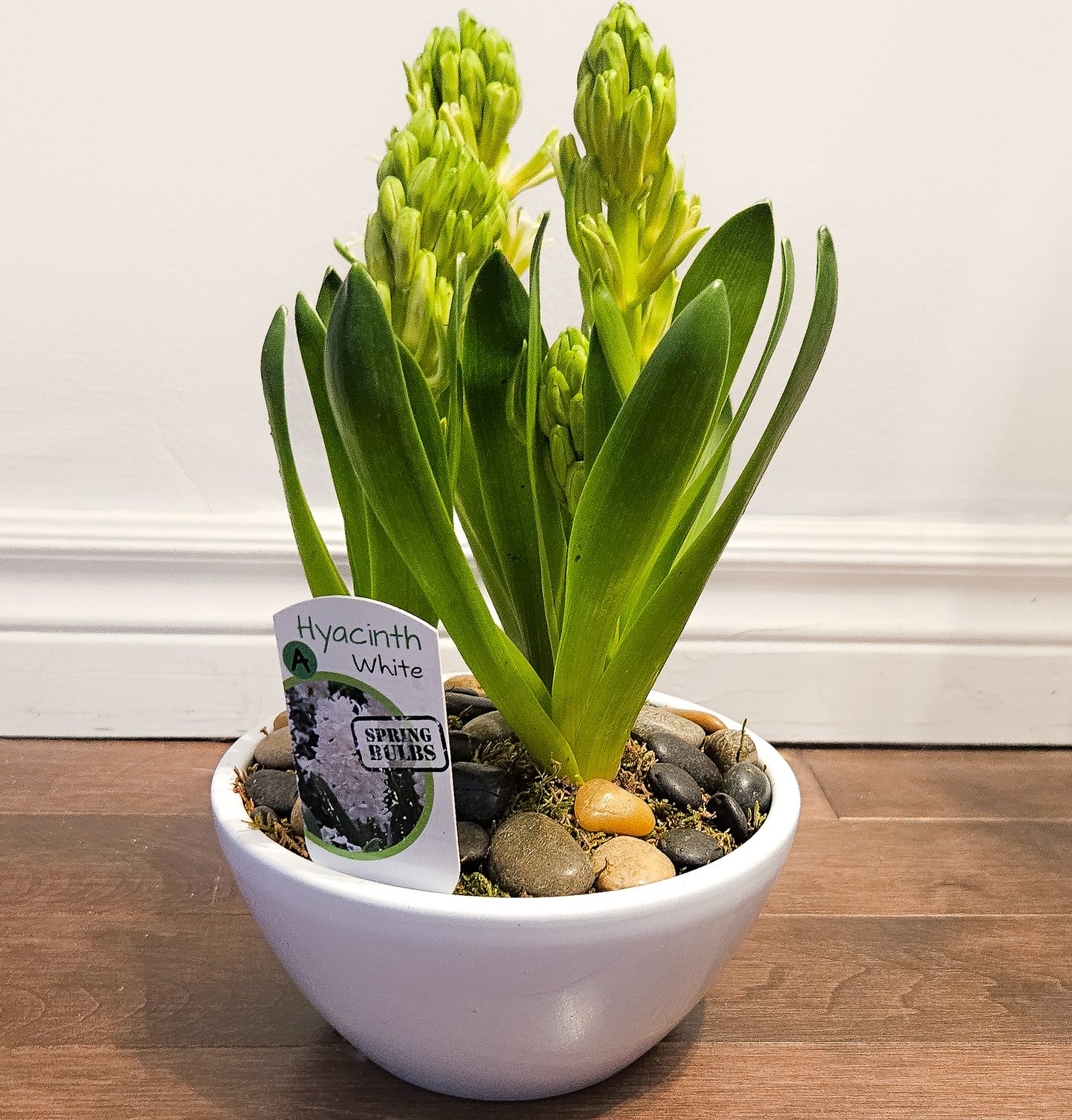 Bulb Planter