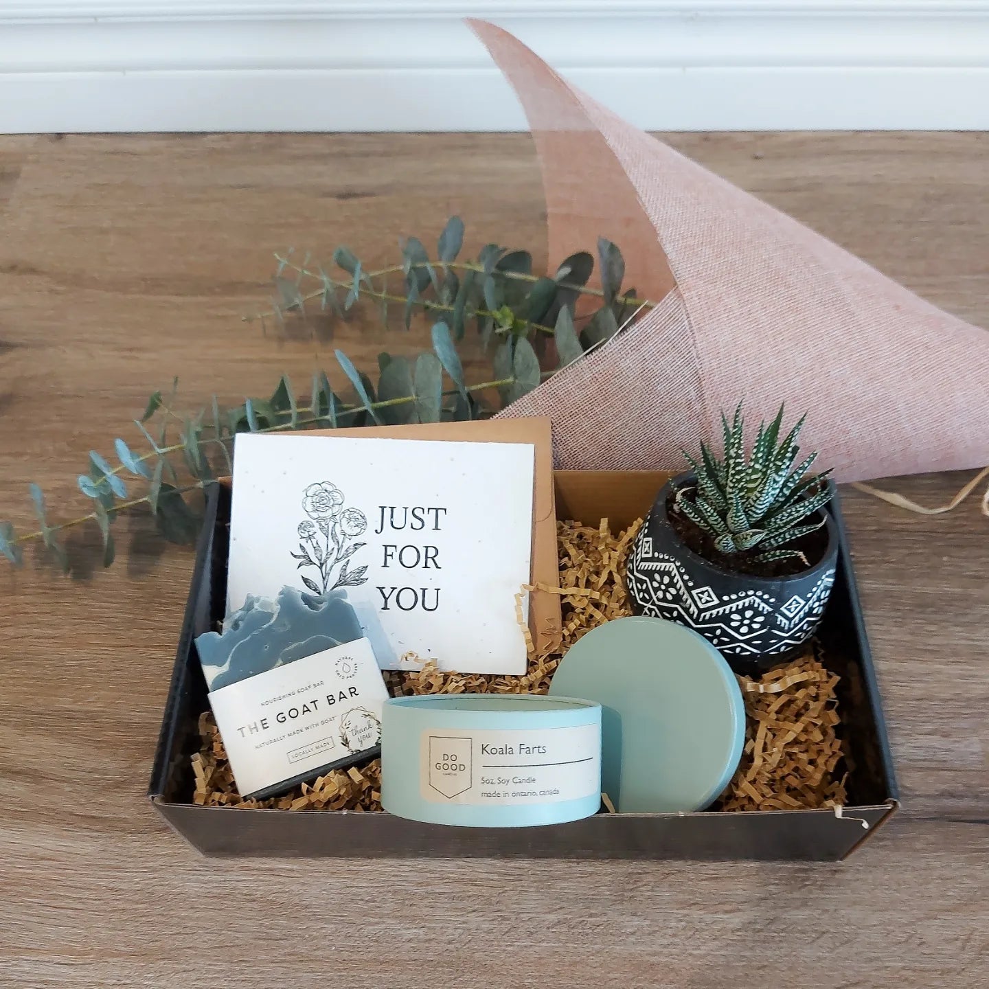 Eucalyptus bundle