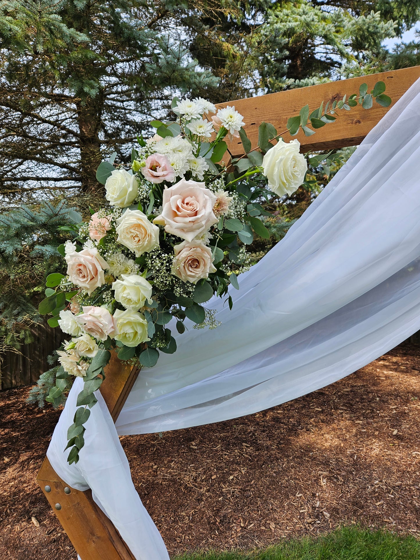 Roses on arch