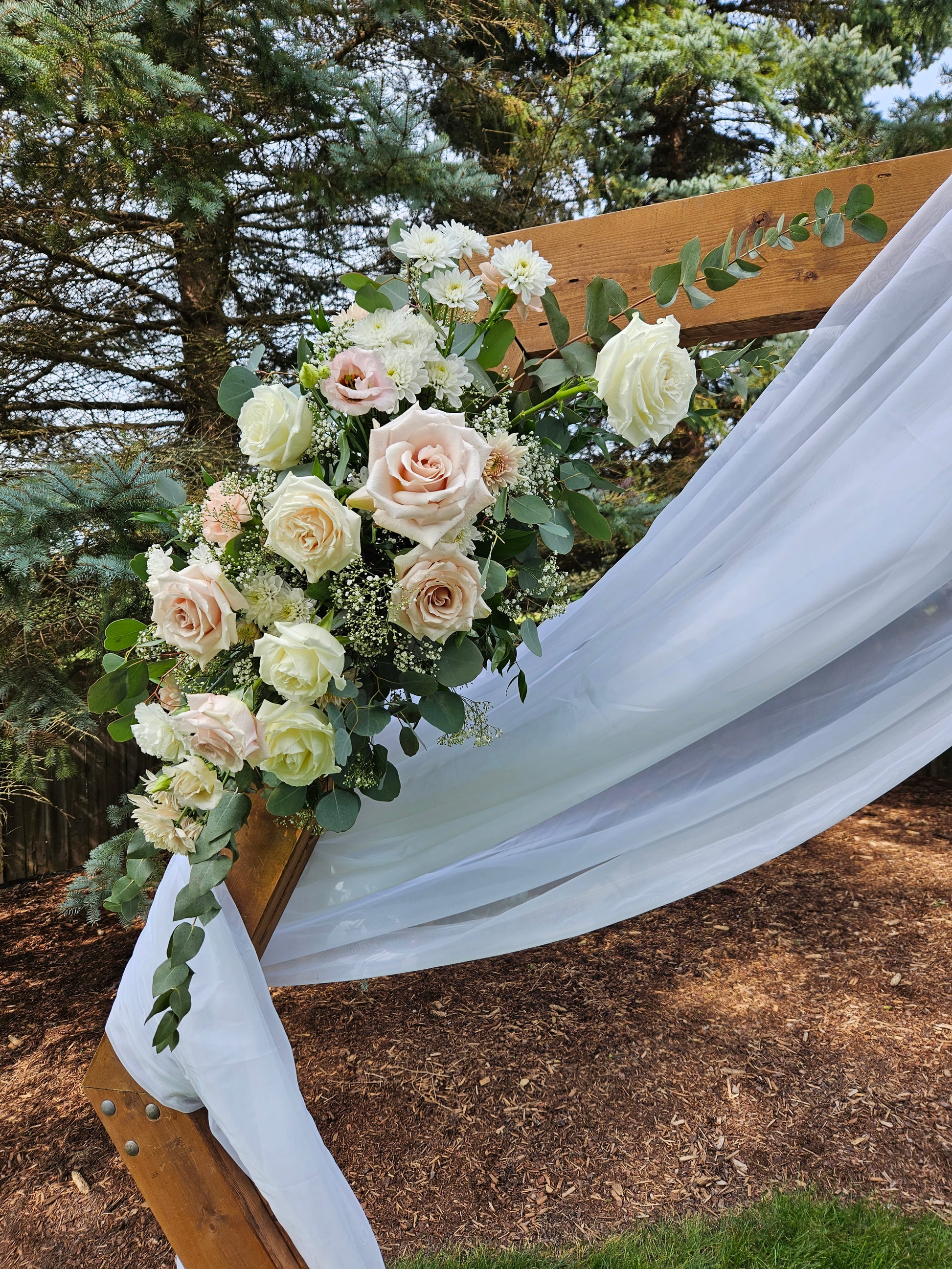 Roses on arch