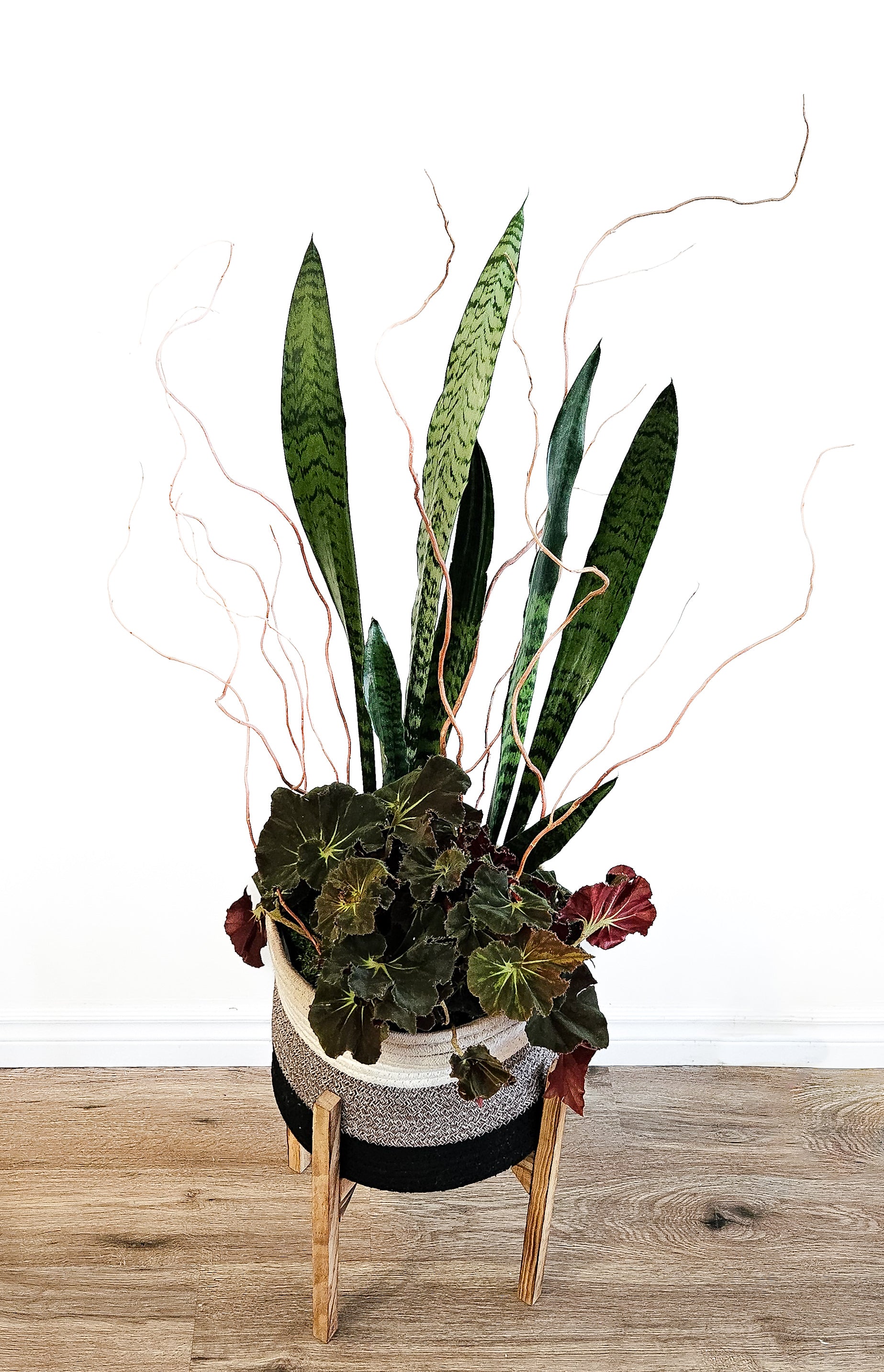 Planter in basket