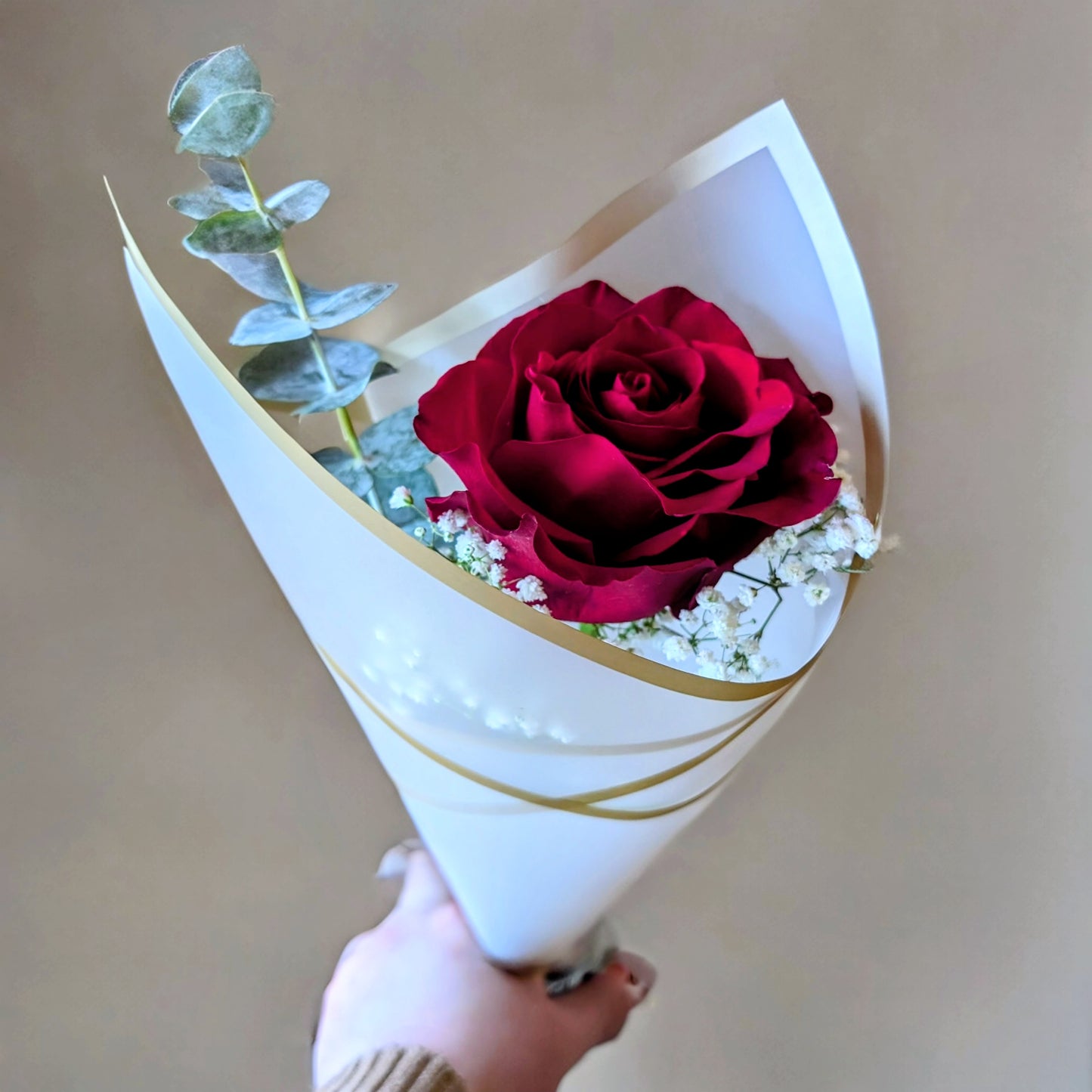 Valentine's Day Roses